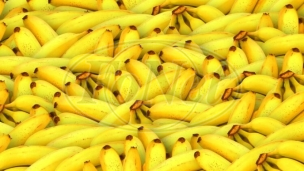 Uništeno oko 20 tona banana